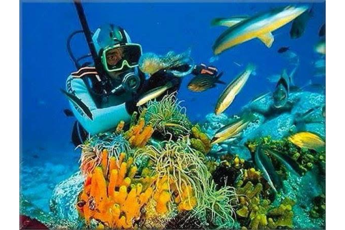 Alanya Tüplü Dalış Turu
