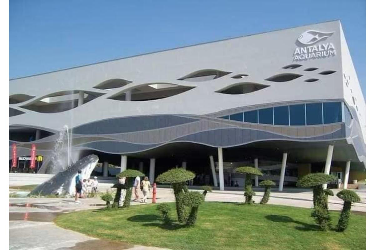 Alanya'dan Antalya Akvaryum Turu